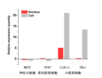 悦康生物单细胞核转录组测序数据图 5